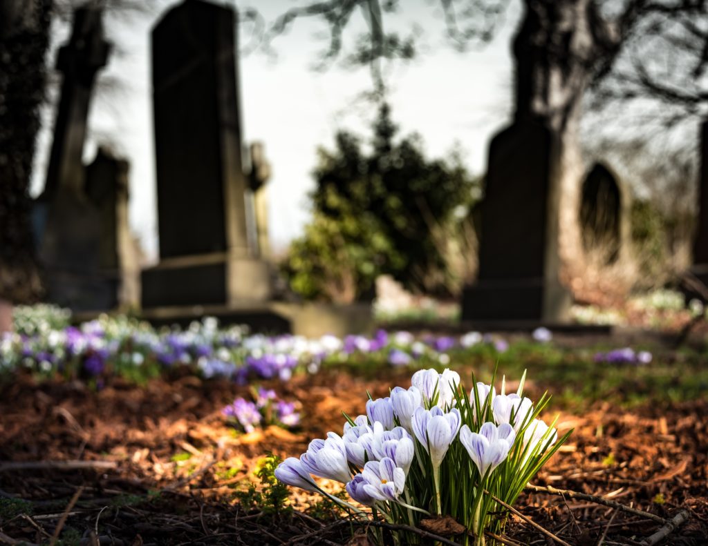 Blumen auf einem Friedhof